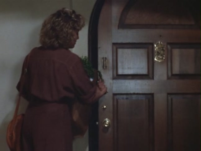 Moonlighting1989_ScreenCaps5x13-350.jpg