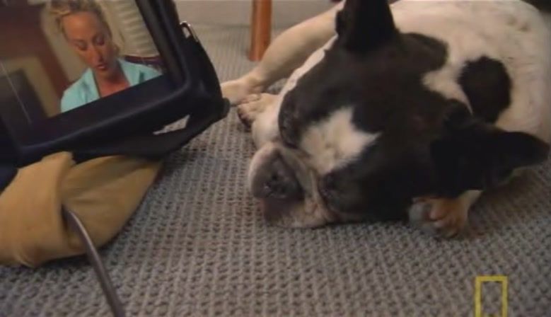 TheDogWhisperer_S03E02-110.jpg