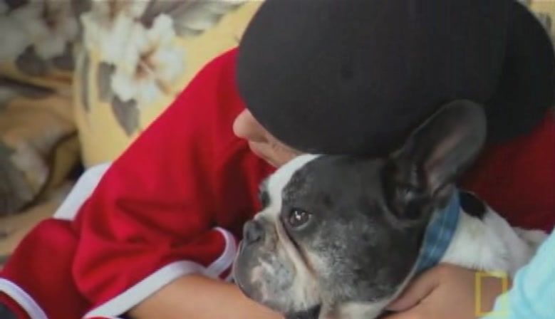 TheDogWhisperer_S03E02-232.jpg TheDogWhisperer_S03E02-232.jpg