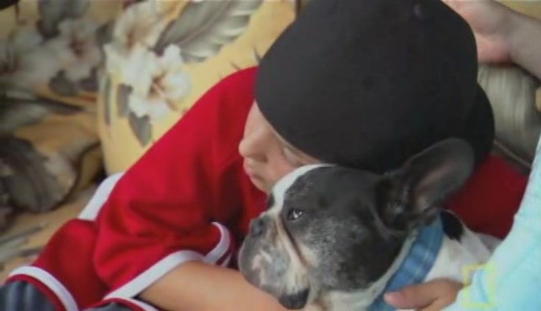 TheDogWhisperer_S03E02-234.jpg