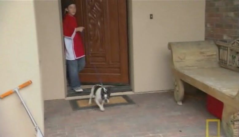 TheDogWhisperer_S03E02-276.jpg