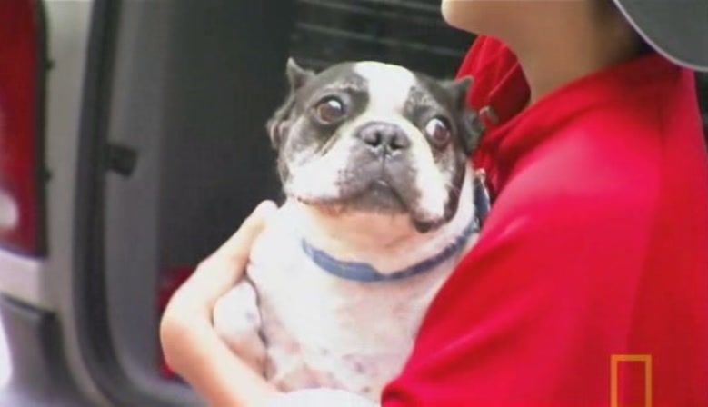 TheDogWhisperer_S03E02-283.jpg