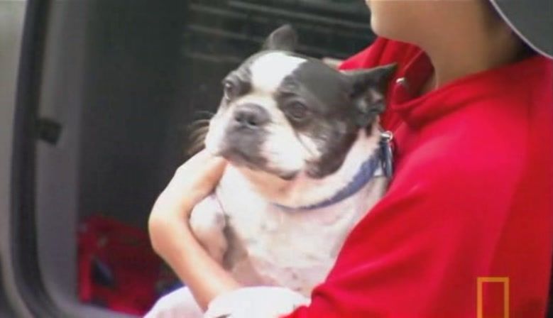 TheDogWhisperer_S03E02-284.jpg