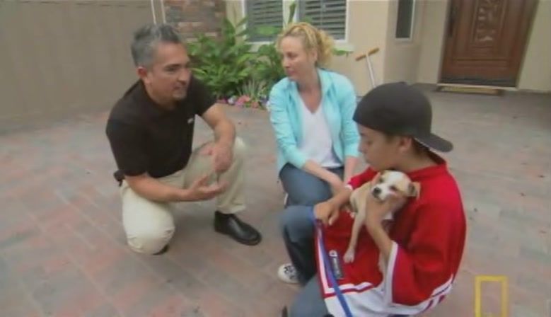 TheDogWhisperer_S03E02-316.jpg