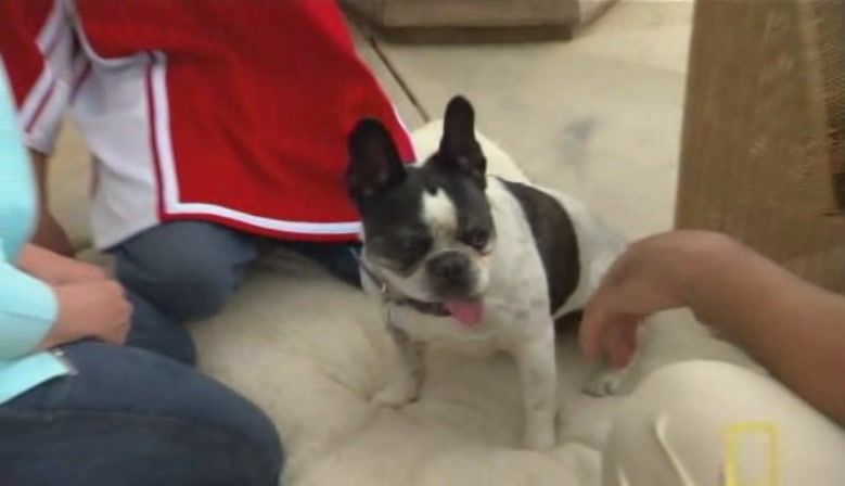 TheDogWhisperer_S03E02-378.jpg