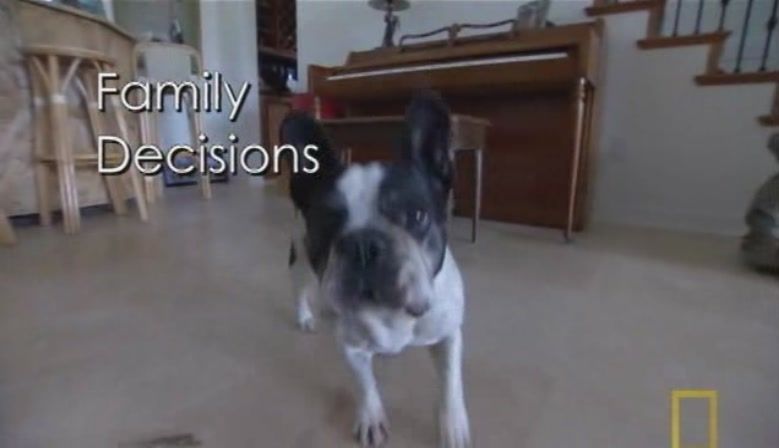 TheDogWhisperer_S03E02-43.jpg TheDogWhisperer_S03E02-43.jpg