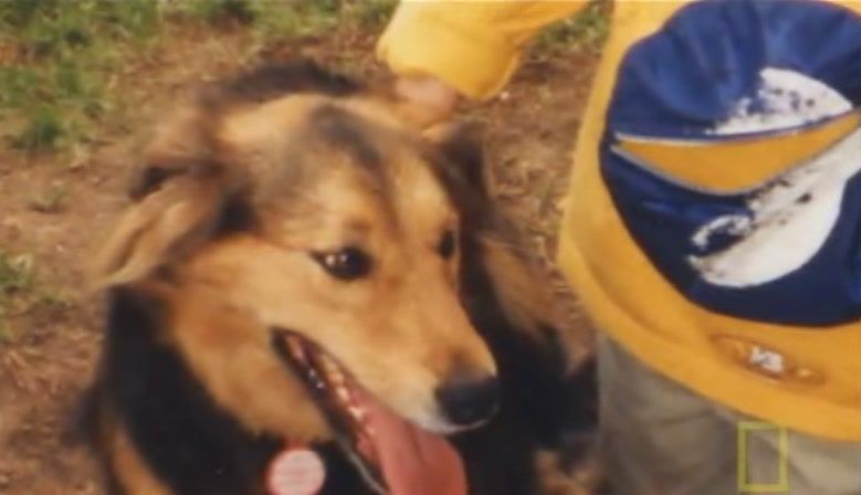 TheDogWhisperer_S03E02-470.jpg