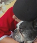 Filename=TheDogWhisperer_S03E02-232.jpg
Filesize=28KiB
Dimensions=779x448
Date added=Aug 27, 2013 TheDogWhisperer_S03E02-232.jpg