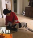 TheDogWhisperer_S03E02-274.jpg