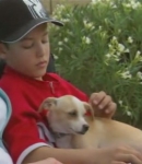 TheDogWhisperer_S03E02-401.jpg