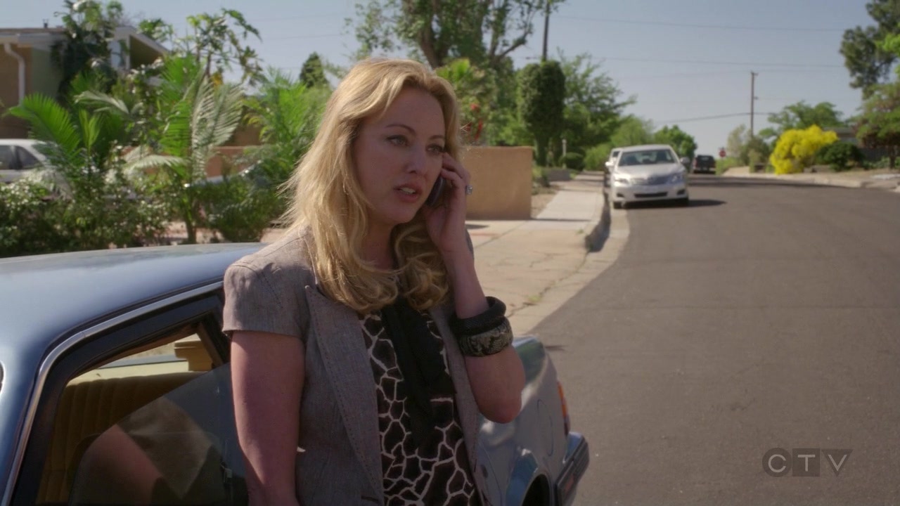 ScreenCaps_1x06-136.jpg