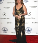 Public2008_CarouselofHopeBall-108.jpg